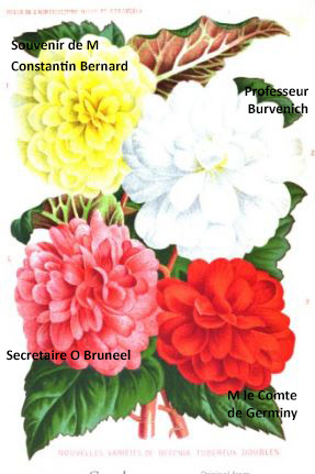 B. ‘Secretaire O. Bruneel’